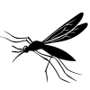Mosquito